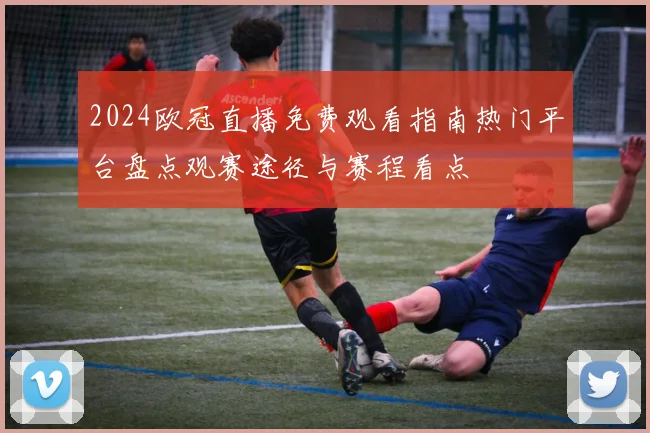 2024欧冠直播免费观看指南热门平台盘点观赛途径与赛程看点