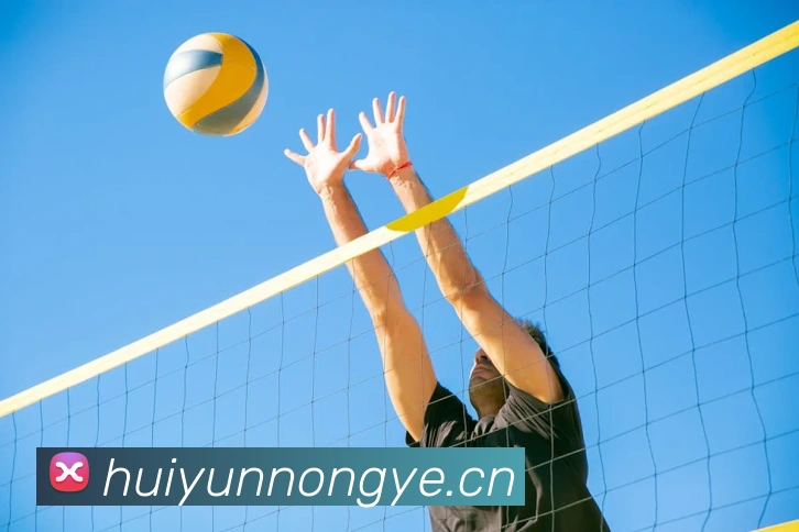 App Interface Preview