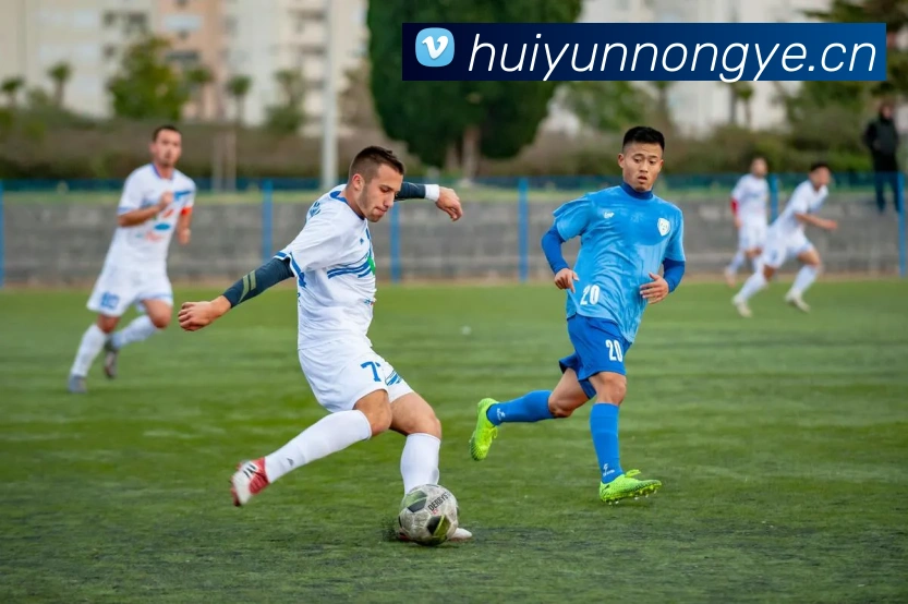 爱游戏ayx官网平台APP 封面图